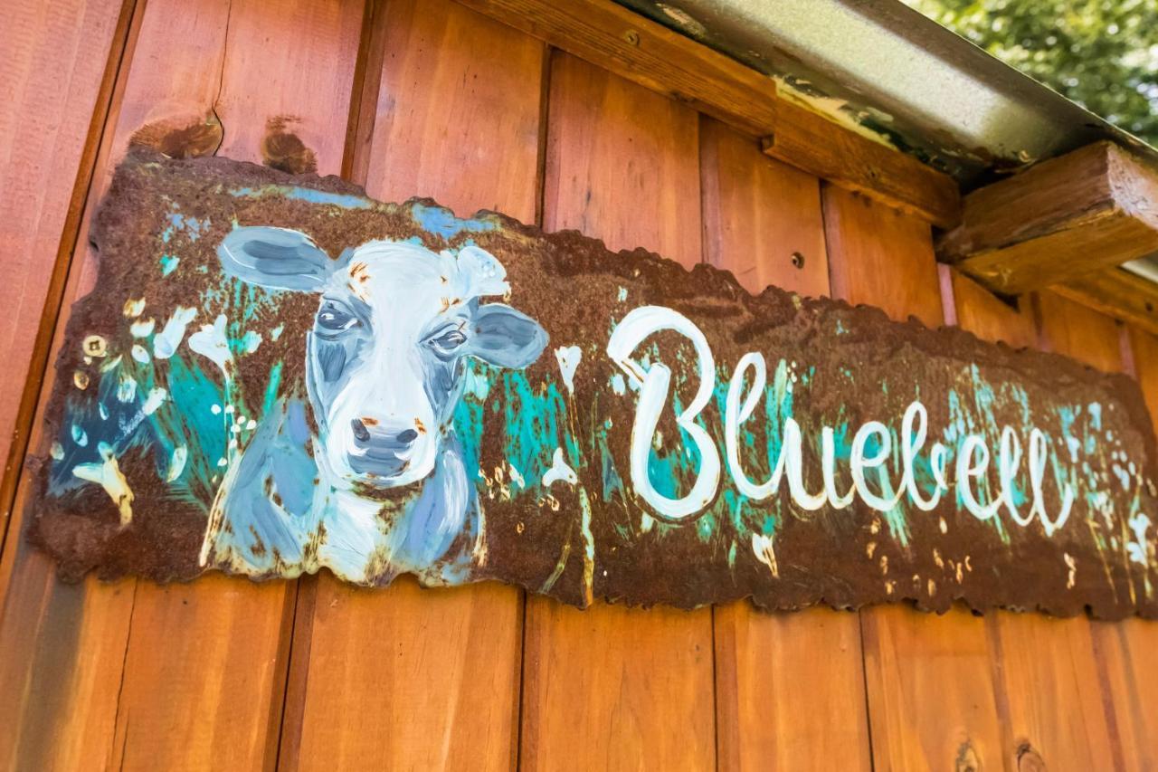 Peace Corner Cottages Dullstroom Exterior foto